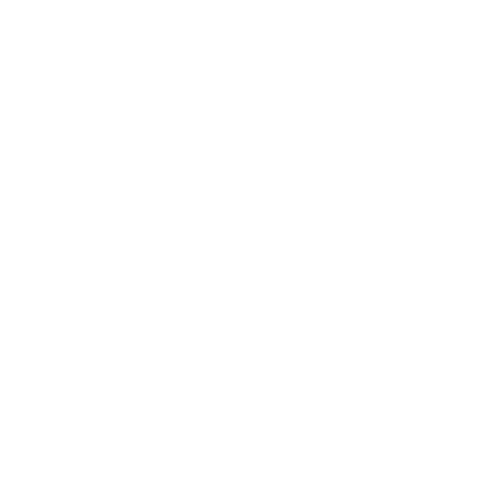 Seguridad